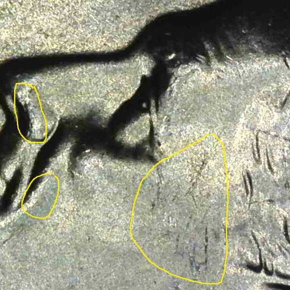 2020-P Roosevelt Dime, BU, LUSTER, FULL BANDS & DIE CHIPS (NOT DEFECTS)! 10-0049 - Picture 9 of 9